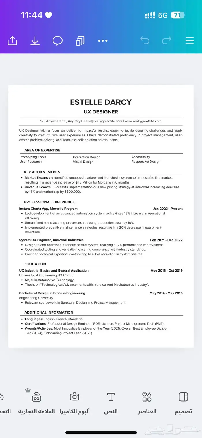 سيرة ذاتية CV 2