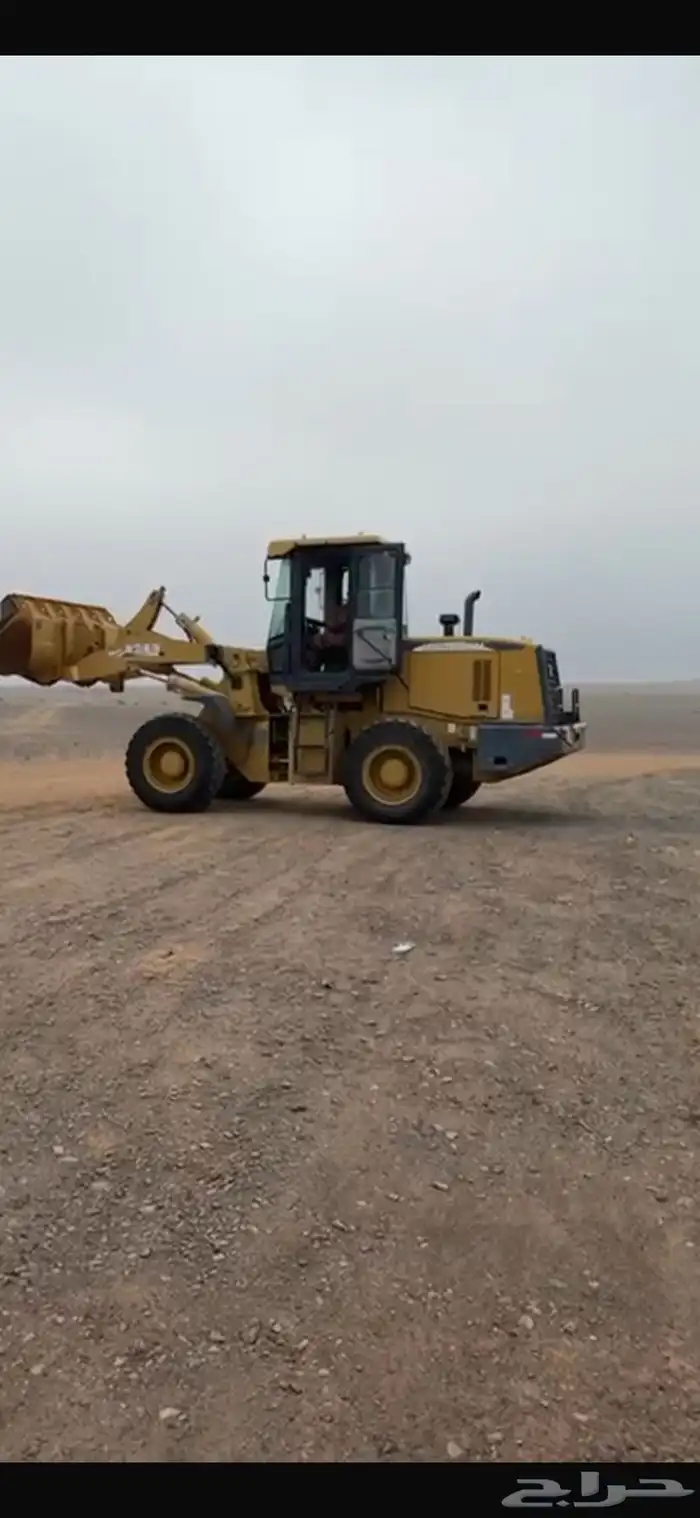 شيول وكيل الصين مديل 2015 2