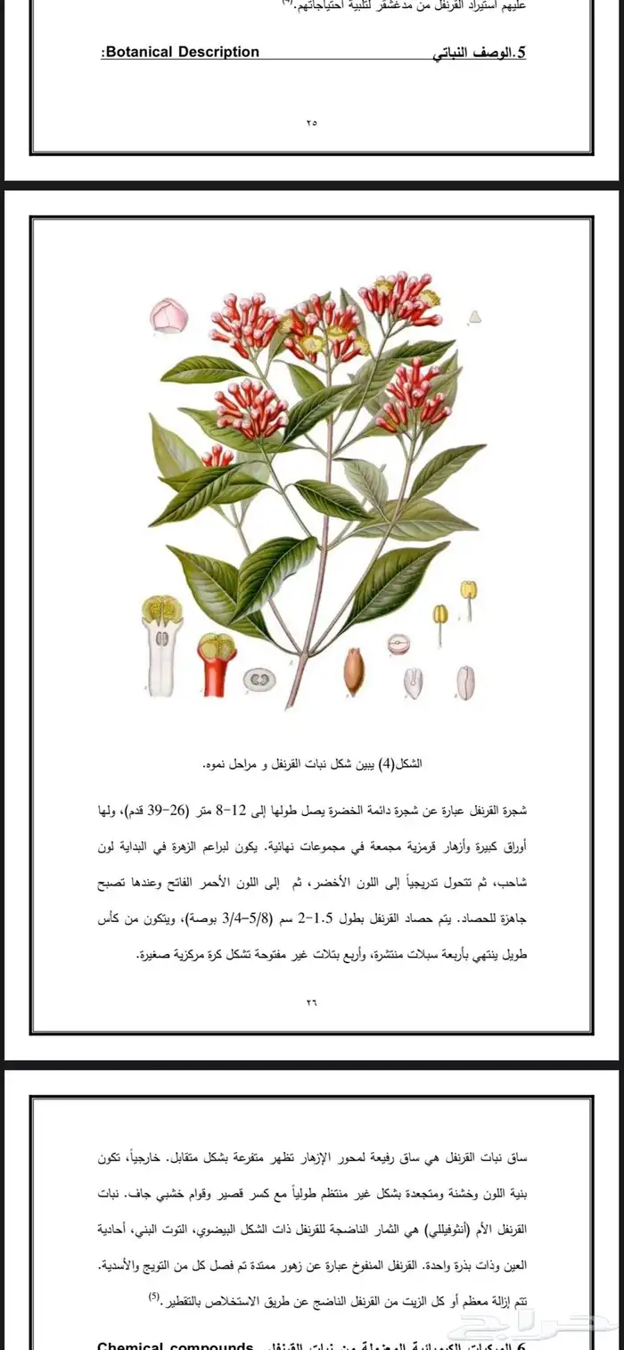 خدمات طلابية   مشروع تخرج   عرض تقديمي بوربوينت  برزنتيشن 1