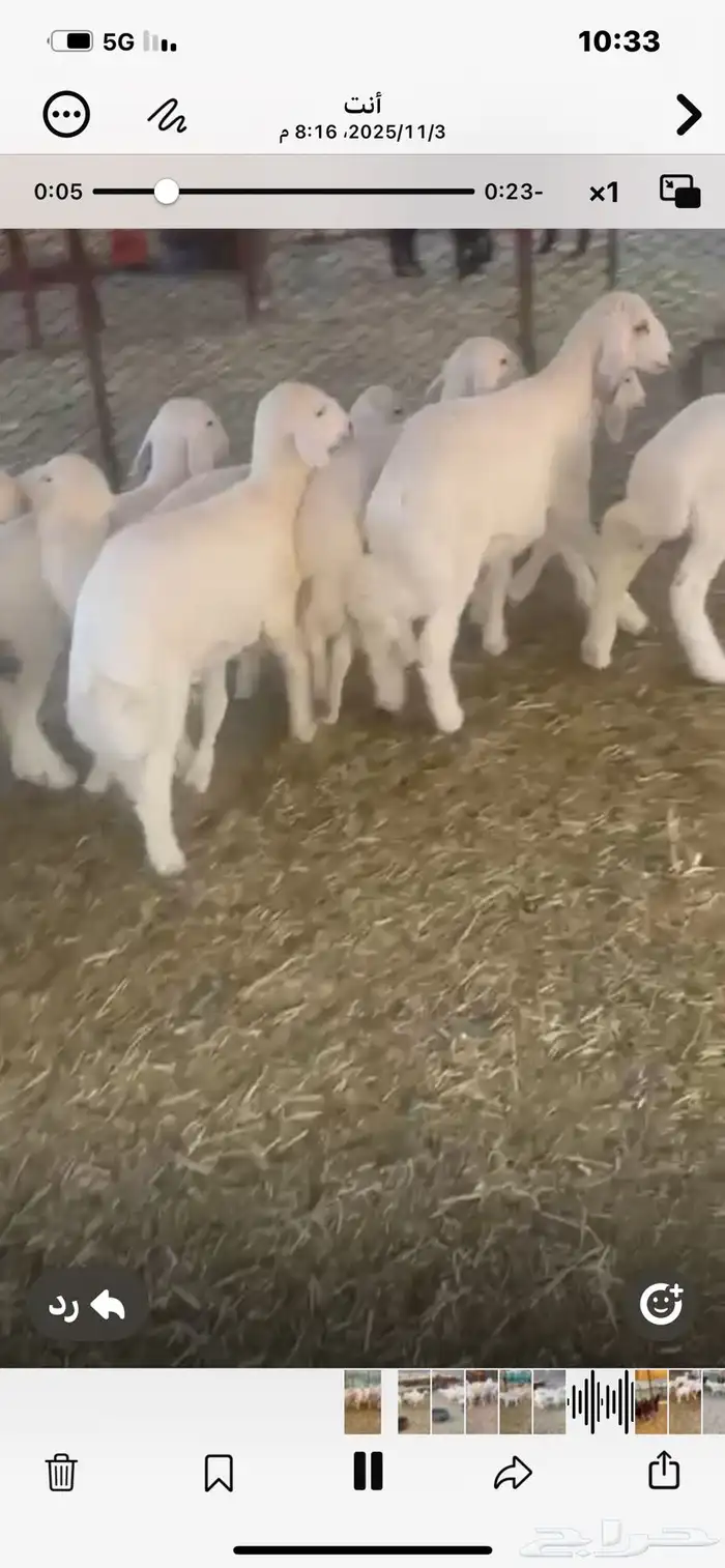 68ضان حريه معها17 0