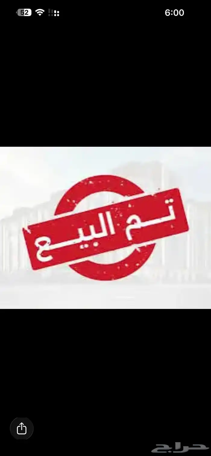 دجاج بلدي بشاير ( تم البيع ) 0