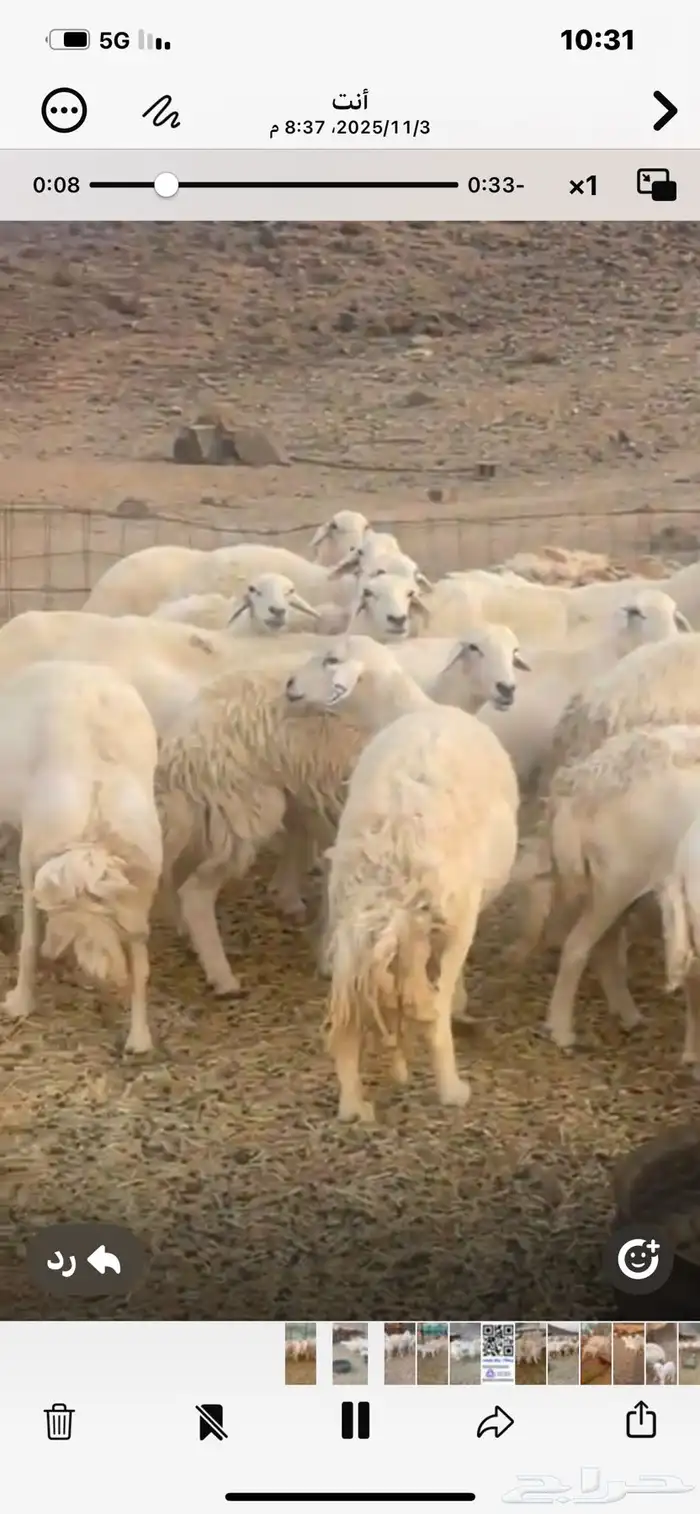 68ضان حريه معها17 3