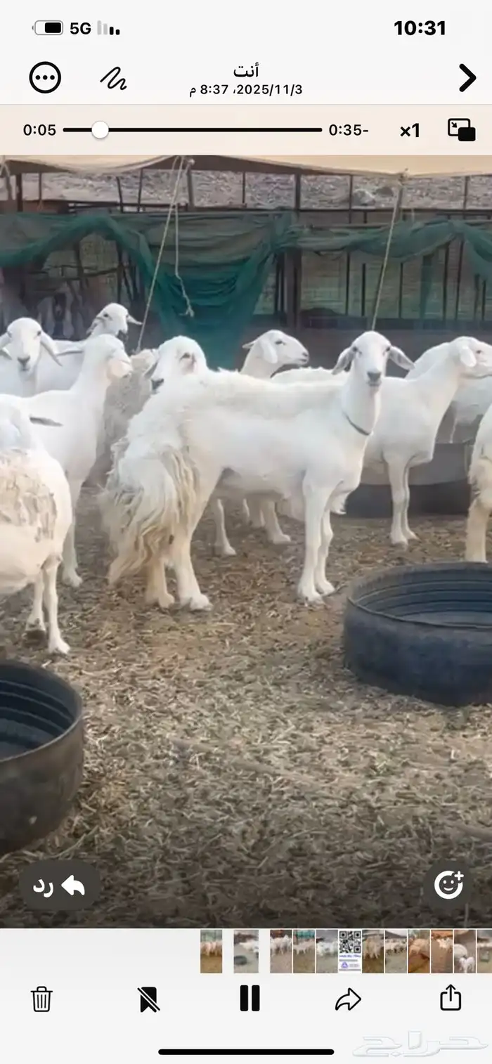 68ضان حريه معها17 4