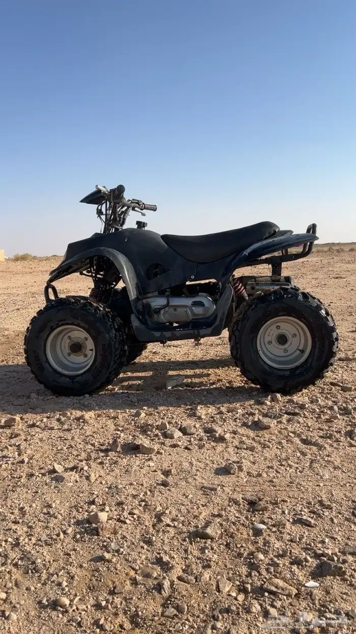 دبابابين للبيع 0