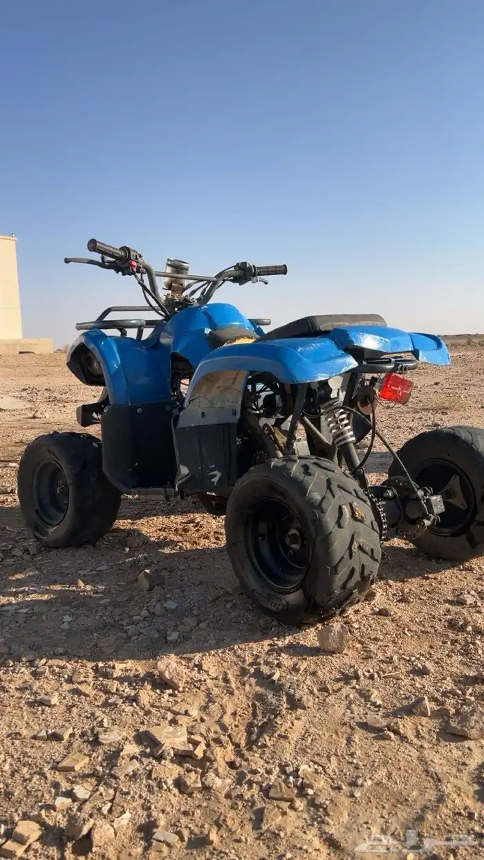 دبابابين للبيع 3