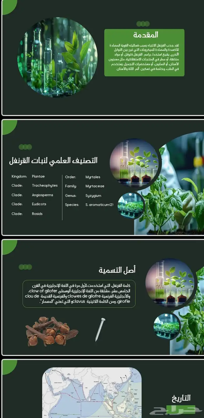 خدمات طلابية   مشروع تخرج   عرض تقديمي بوربوينت  برزنتيشن 2