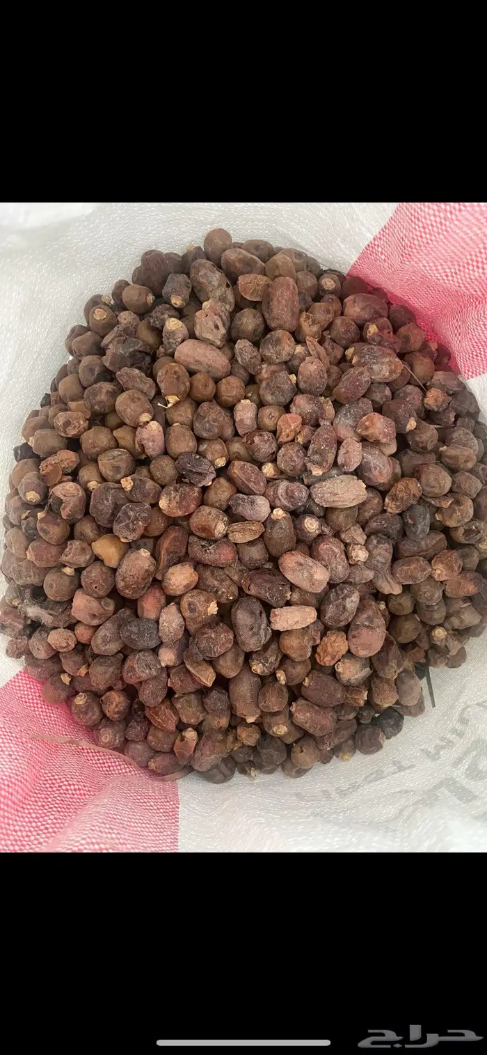 للبيع تمر علف ناشف مشكل نظيف الاحساء 0