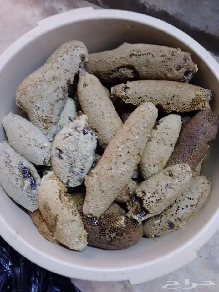 عسل بري حر جديد الكيلو ب((100 فقط)) 2