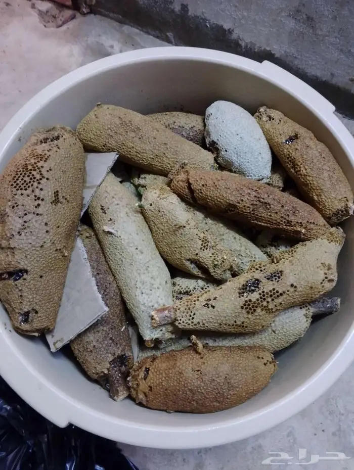 عسل بري حر جديد الكيلو ب((100 فقط)) 3