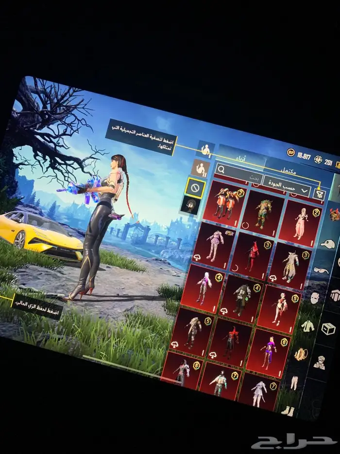 حساب ببجي 20