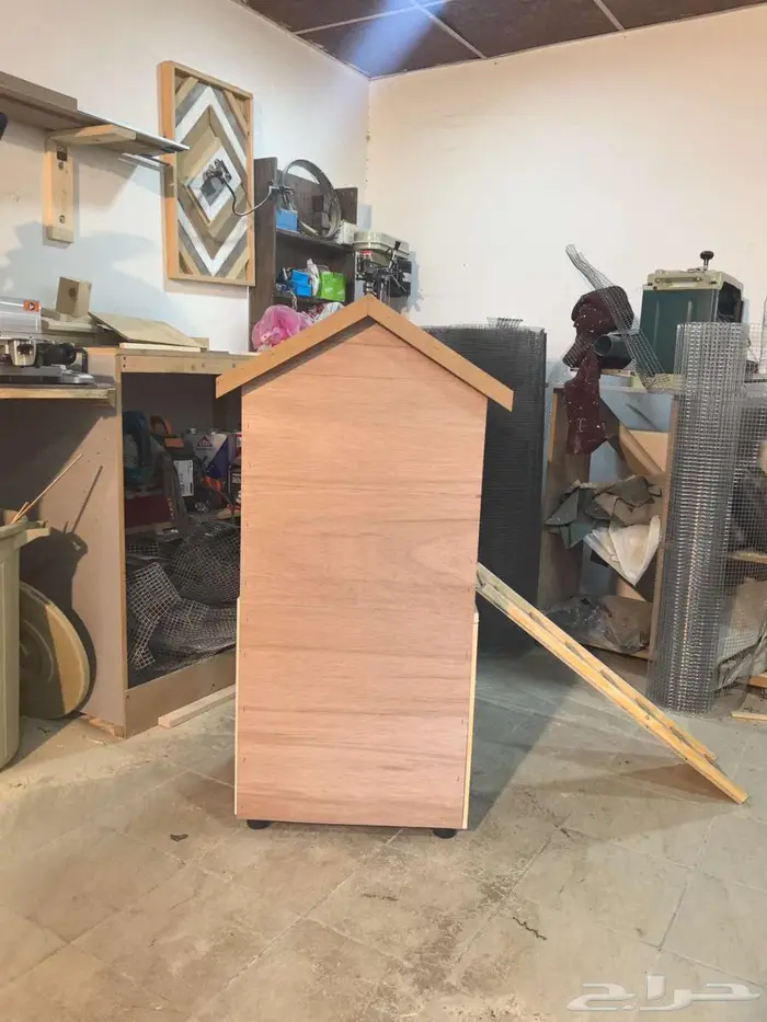 بيت قطط أو كلاب 0