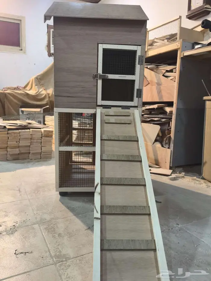 بيت قطط أو كلاب 1