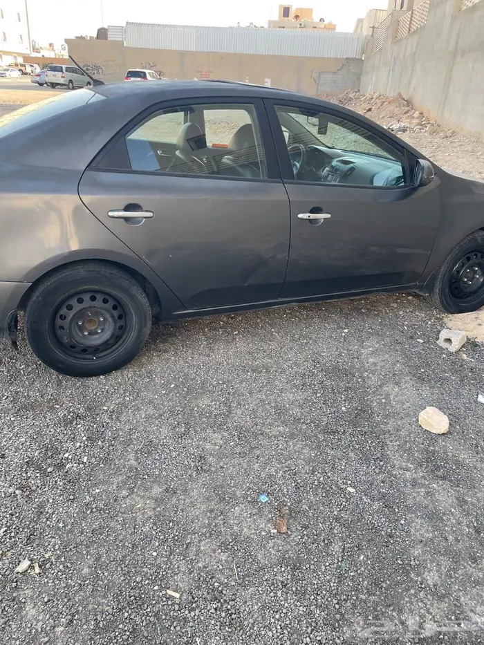 كياء سيروات 2013 3