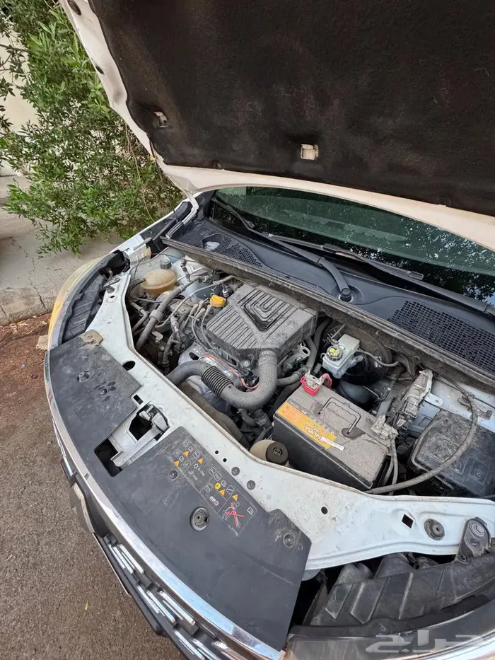 فان رينو 2020 Dokker 4