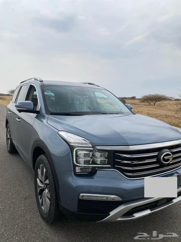 Gs8 2020 للمستخدم نظيفة ممشي قليل 0