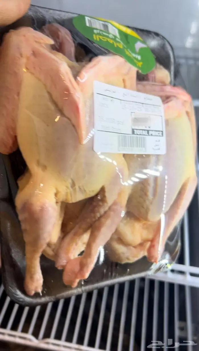 فروخ حمام فرنسي فاخر شحم وحجم طيب 6