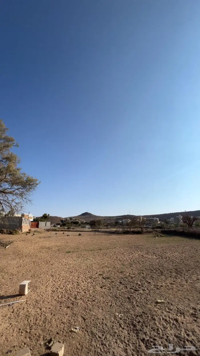 السلام عليكم يوجد ايواء وتدريب في اسطبل ال مشهور 0