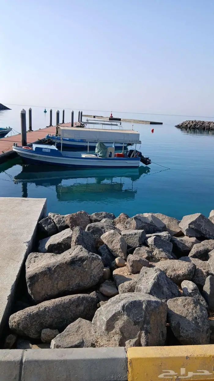 قارب للبيع مقاس 24 1