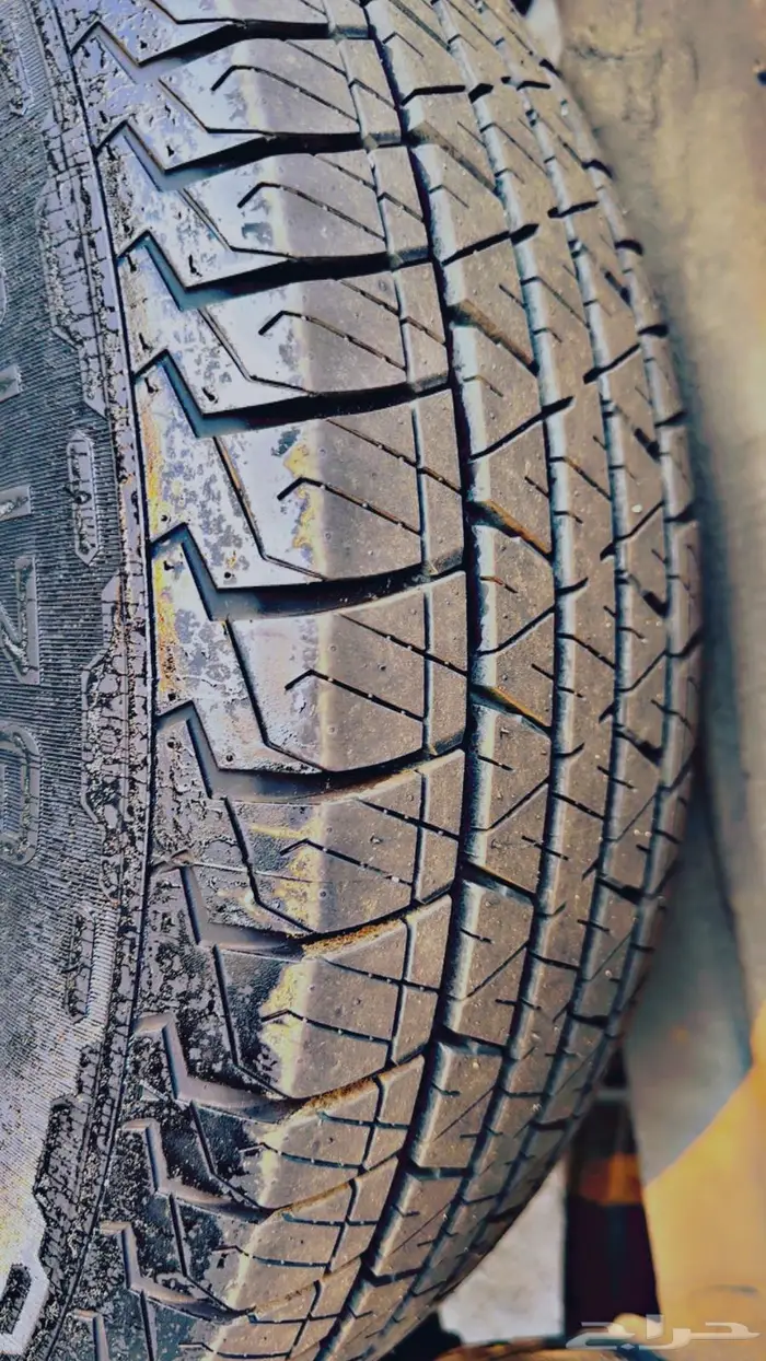 فان بضاعه 2021 4