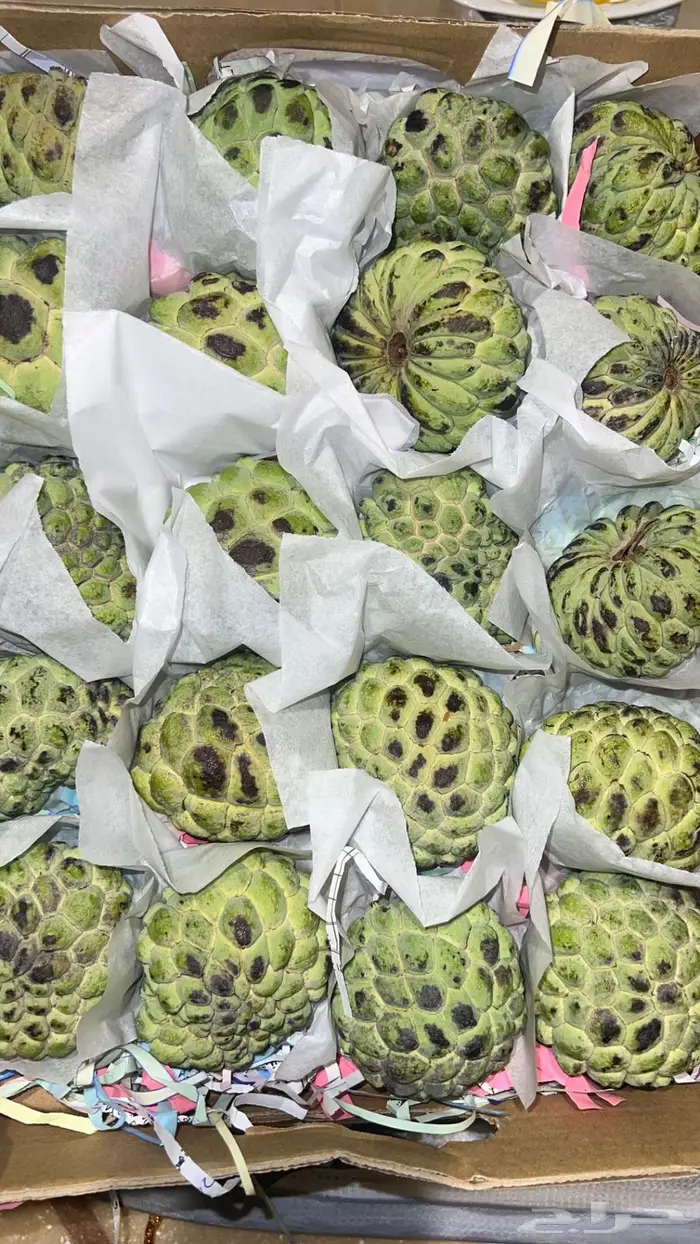 فاكهه قشطه 1