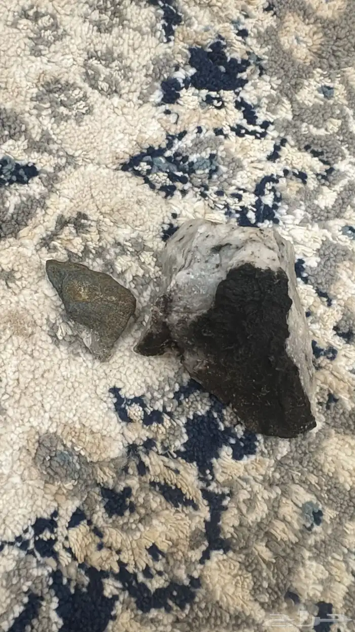 الي له نظر 4