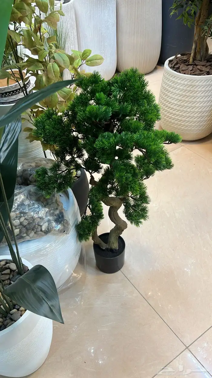 تفصيل اي شجر 4