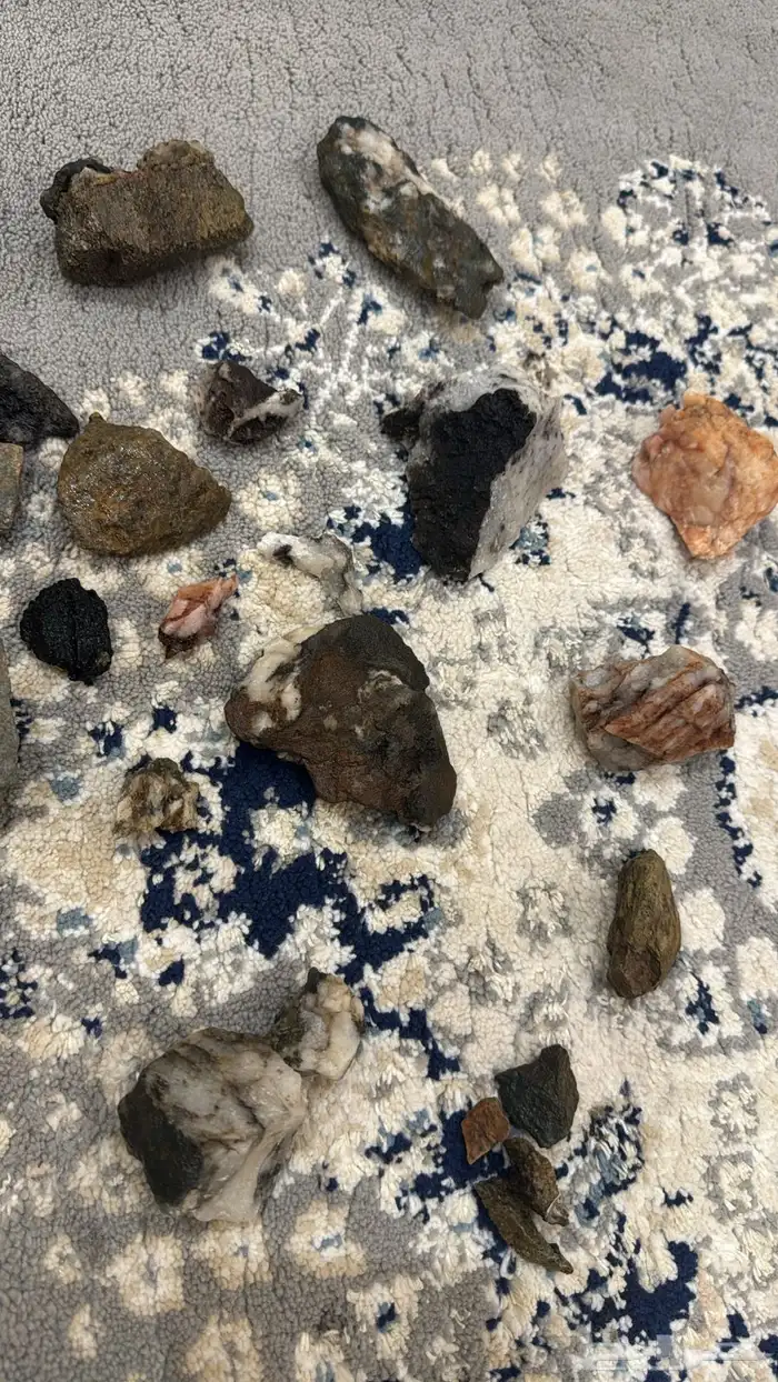 الي له نظر 1