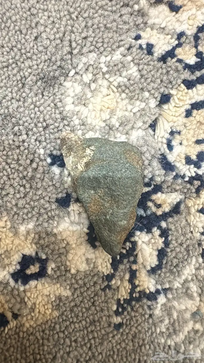 الي له نظر 2