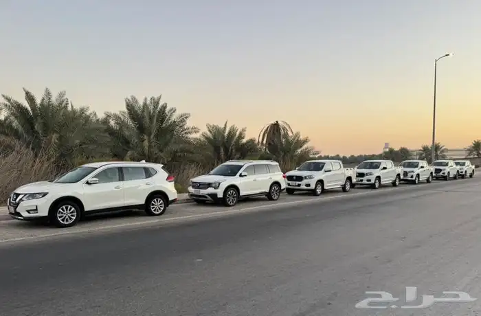 للبيع المستعجل بالجملة مجموعة سيارات بكب و2 جيب 5