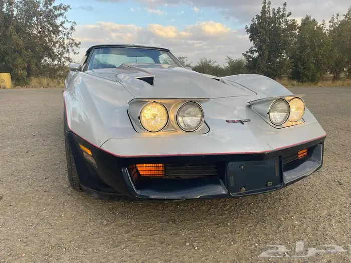 كورفيت 1981 C3 كلاسيك 3