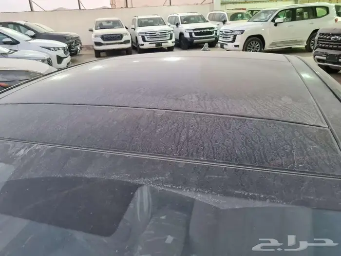 بريدة حي الجزيرة المعارض 19