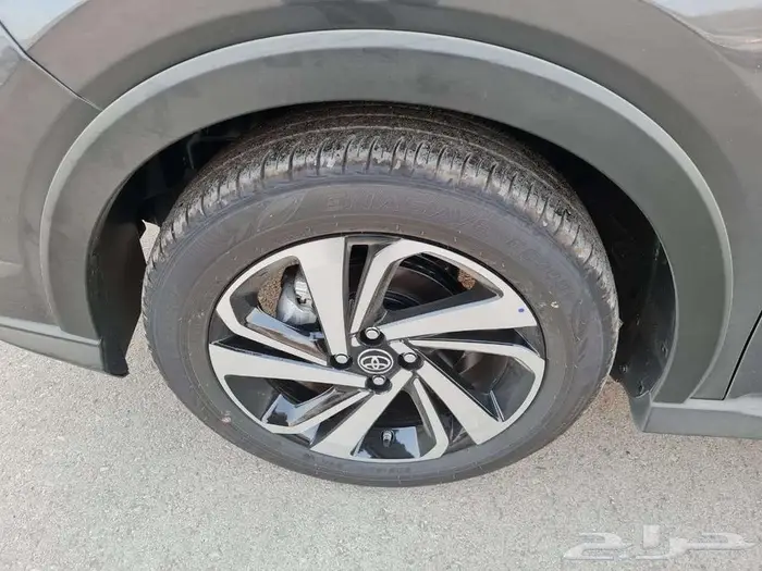 رايز فل LIMITED 2025 15