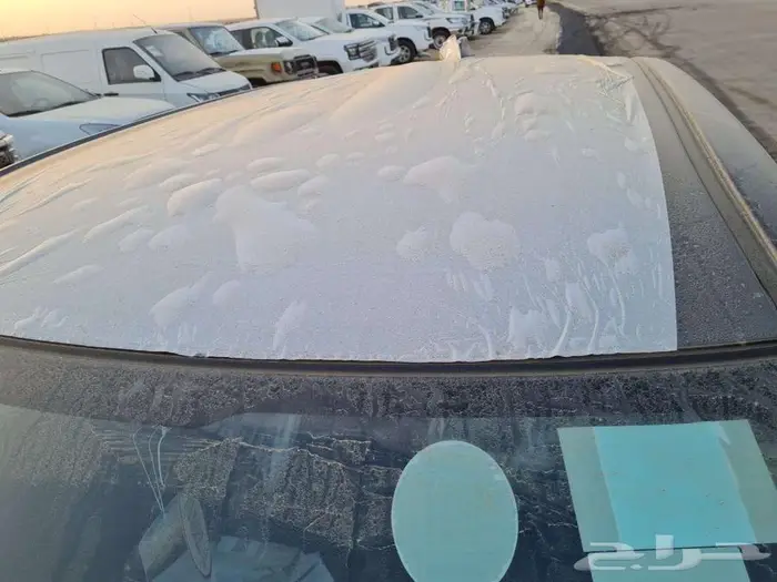 رايز فل LIMITED 2025 9