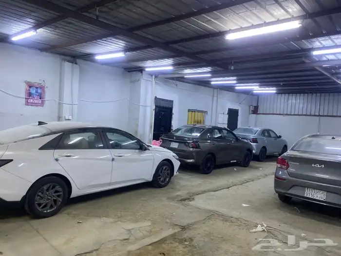 تأجير سيارات 1