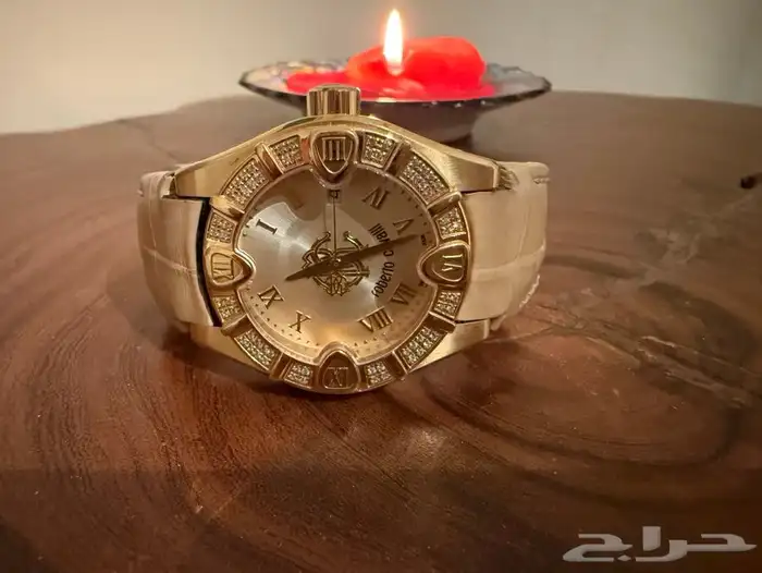 ساعة روبيرتو كفالي 0