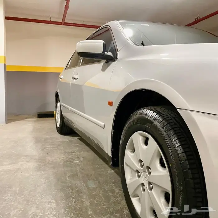 اكورد فضي ستاندر شرط من صدام للصدام 29