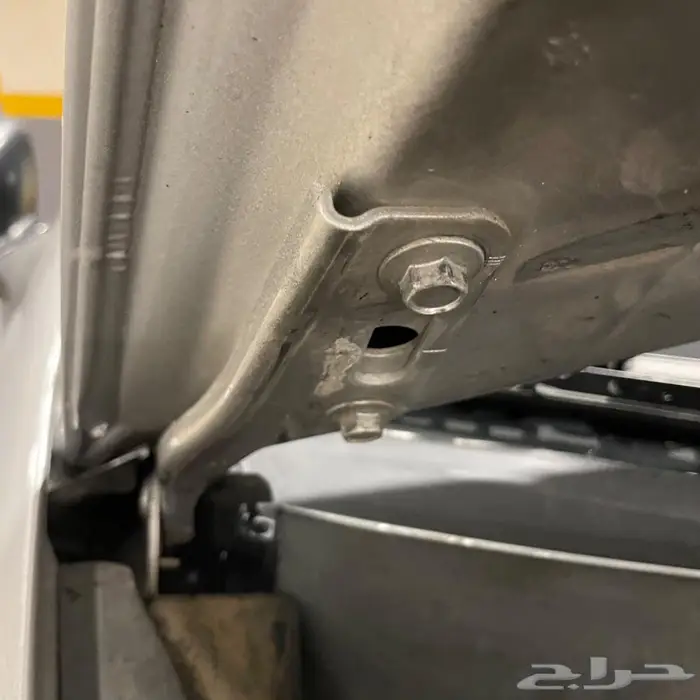 اكورد فضي ستاندر شرط من صدام للصدام 18