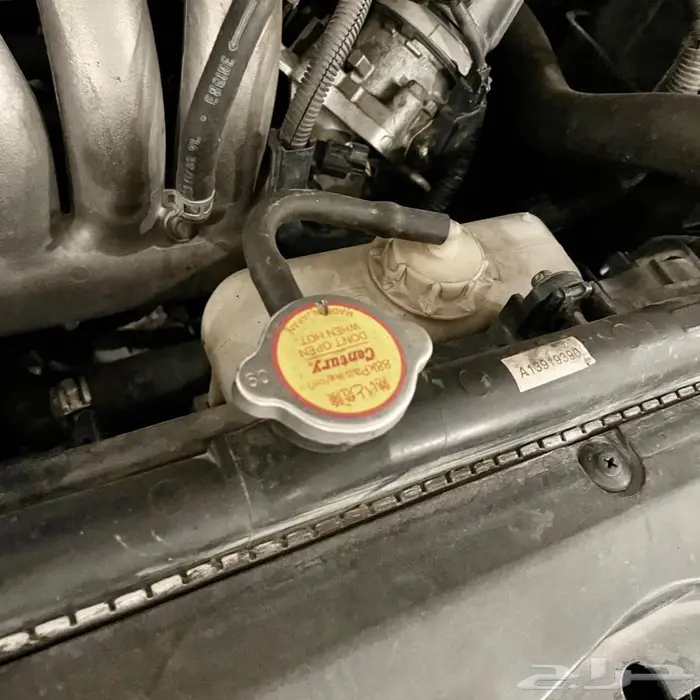 اكورد فضي ستاندر شرط من صدام للصدام 20