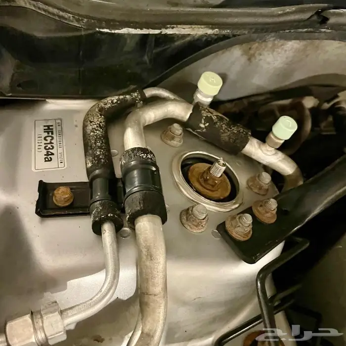 اكورد فضي ستاندر شرط من صدام للصدام 21