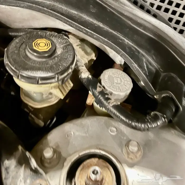 اكورد فضي ستاندر شرط من صدام للصدام 24