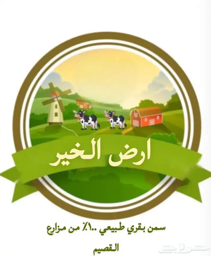 سمن بقري طبيعي 100 100 4