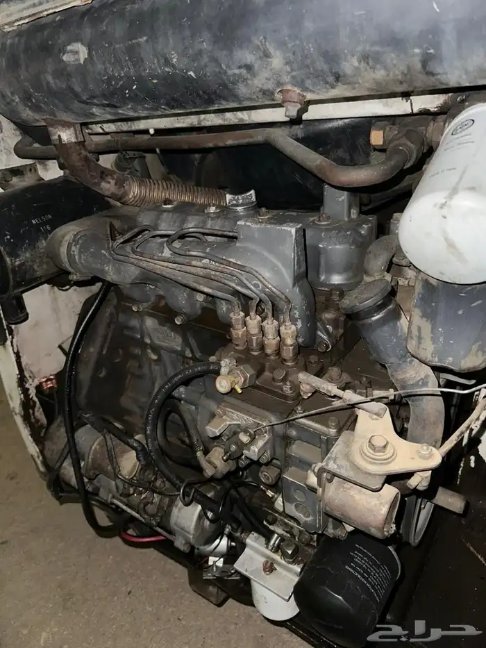 ابو بكات للبيع 2