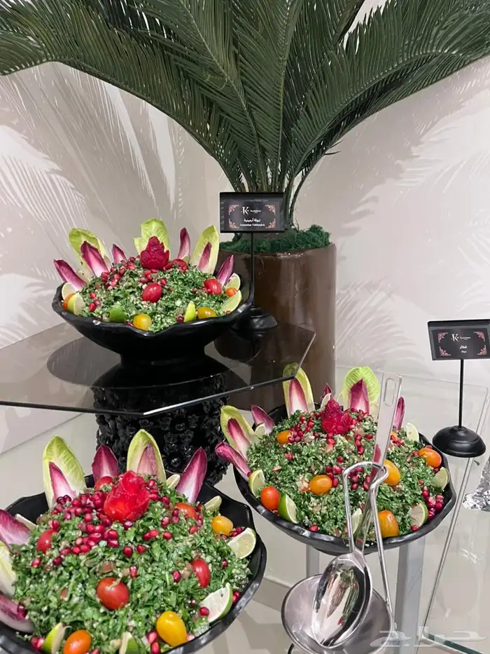 بوفيهات غداء و عشاء 17