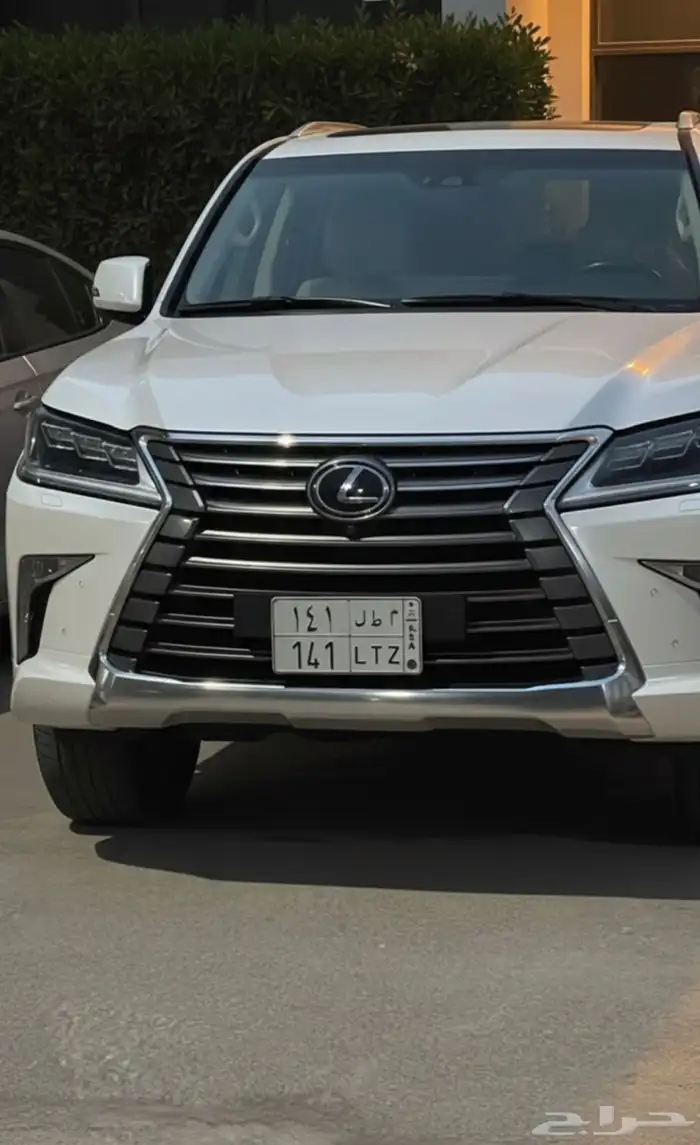 لوحة مميزة م ط ل 141 LTZ 1