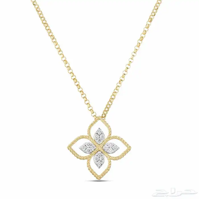 روبيرتو كوين roberto coin 0