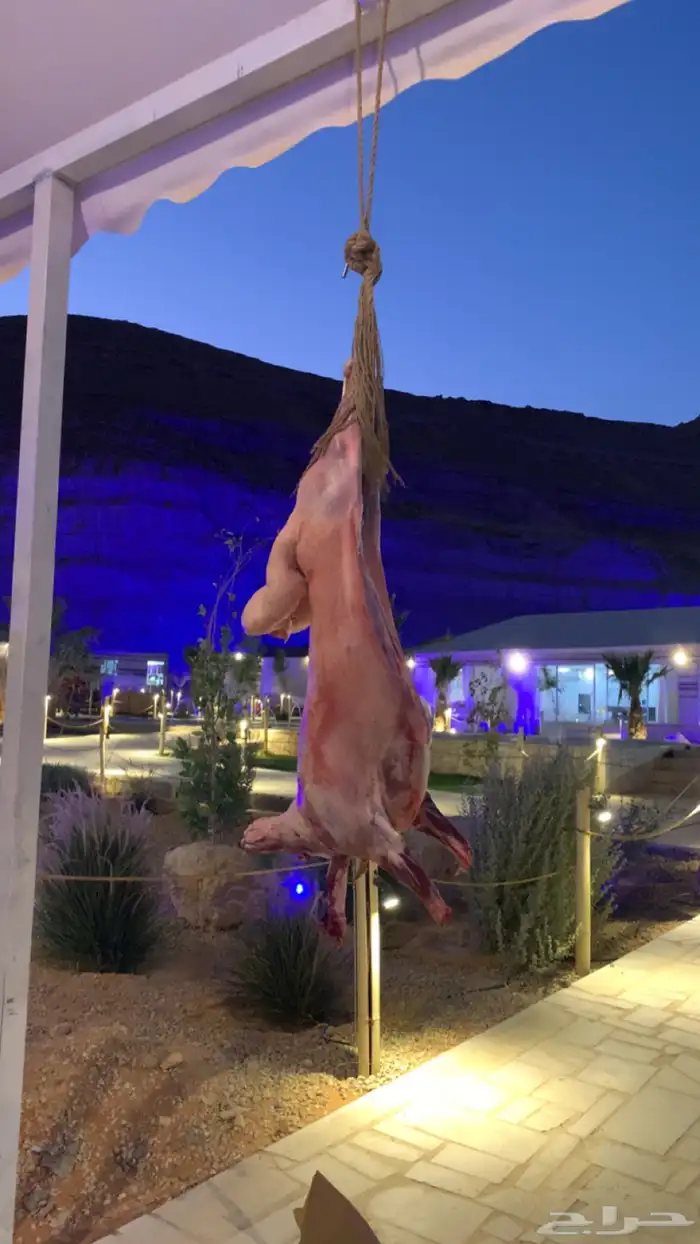 معلم مشويات خارجية 0