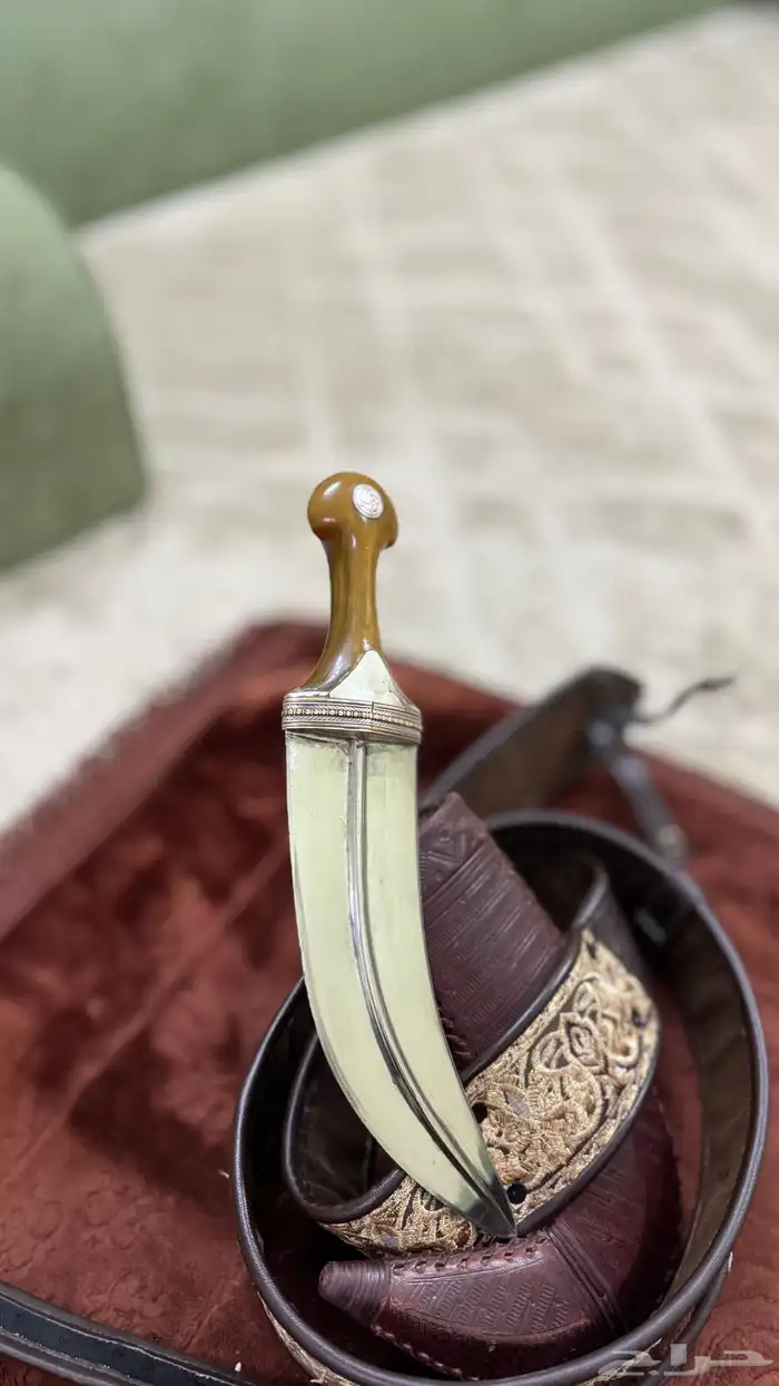 جنبيه وتر . 6