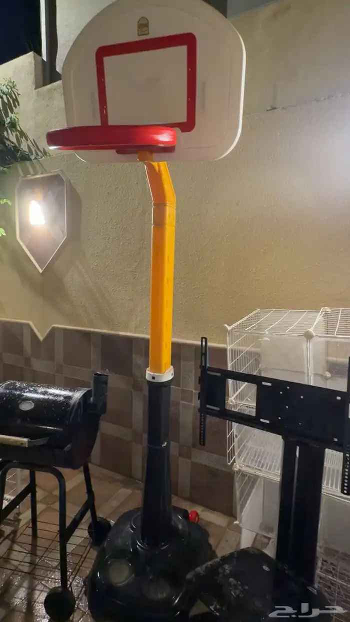 لتزاوج بسعر200 قط برتش مسجل يوجد قطط من الانتاج للبيع 1