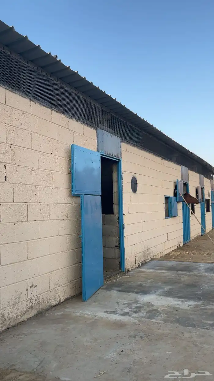 يوجد غرف خيل إيواء 0