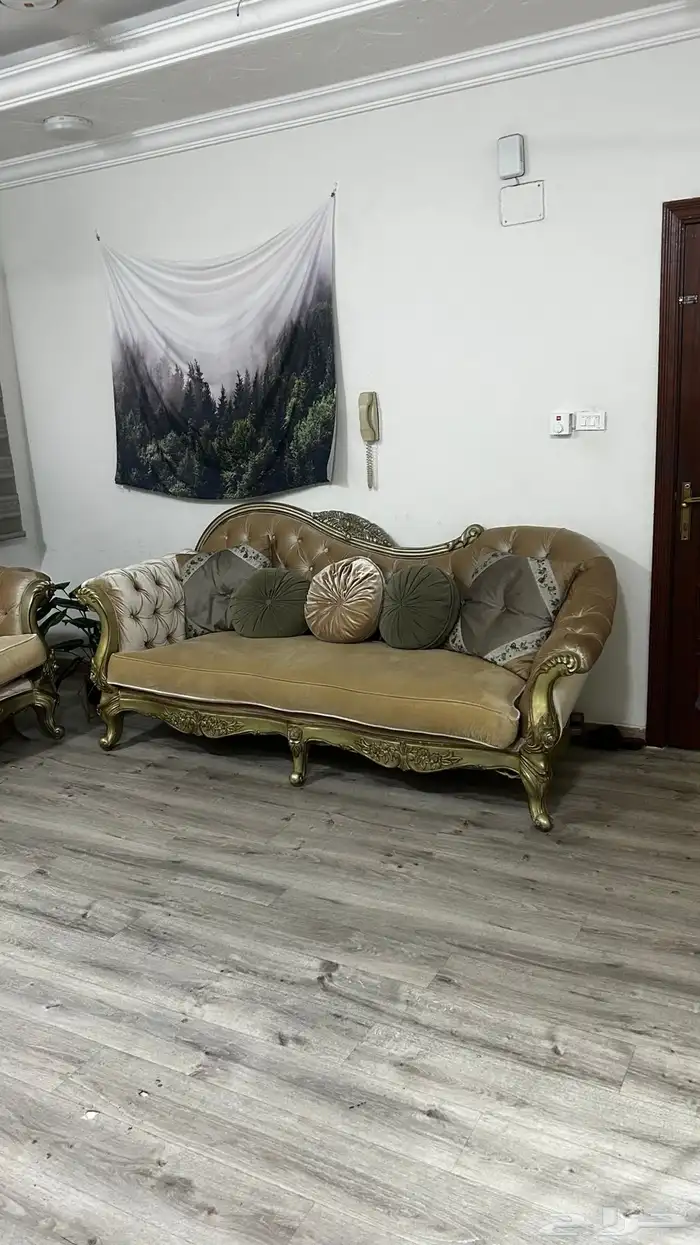 كنب قطعتين مع المخداث للبيع 1